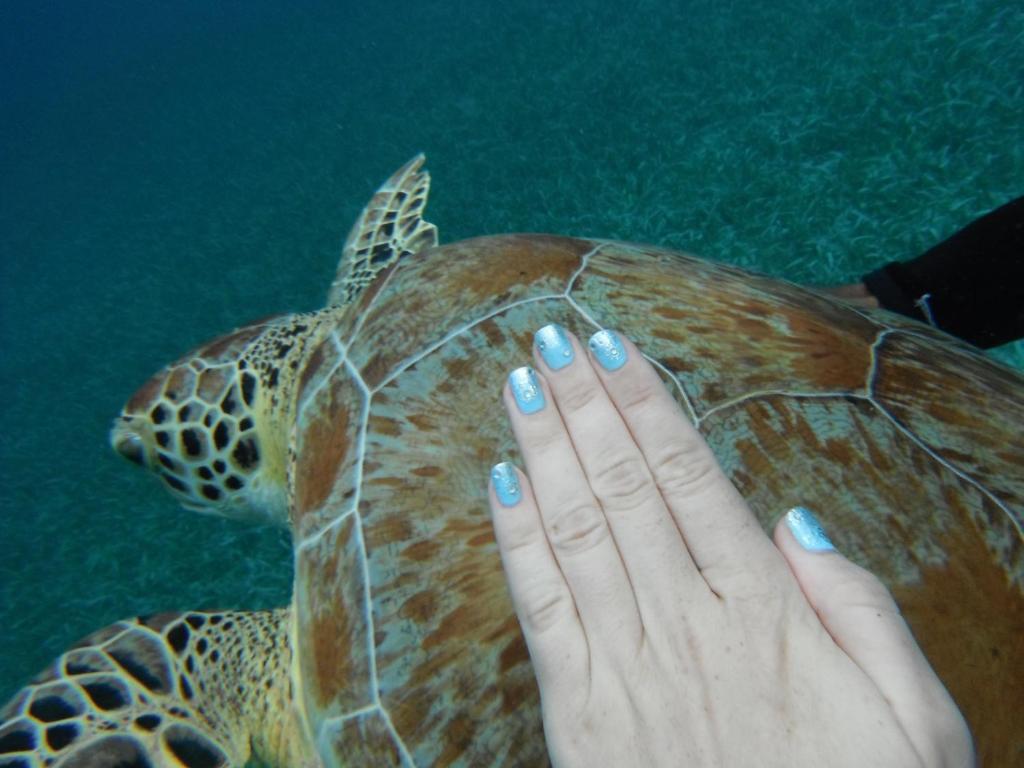 Shaka Caye All Inclusive Resort Belize City Exteriér fotografie